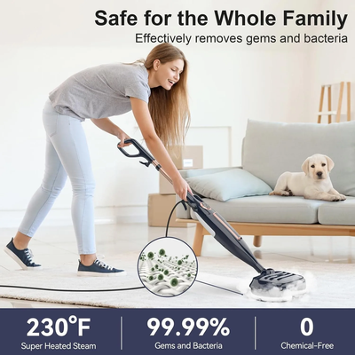 Steam Mop