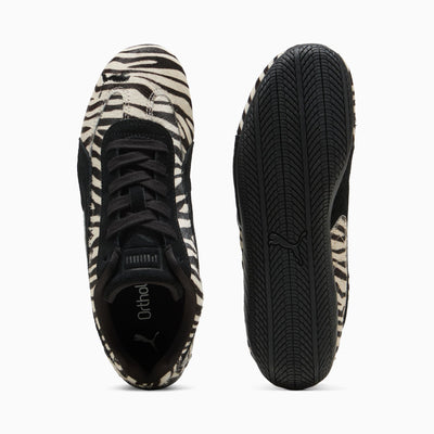SpeedCat Zebras