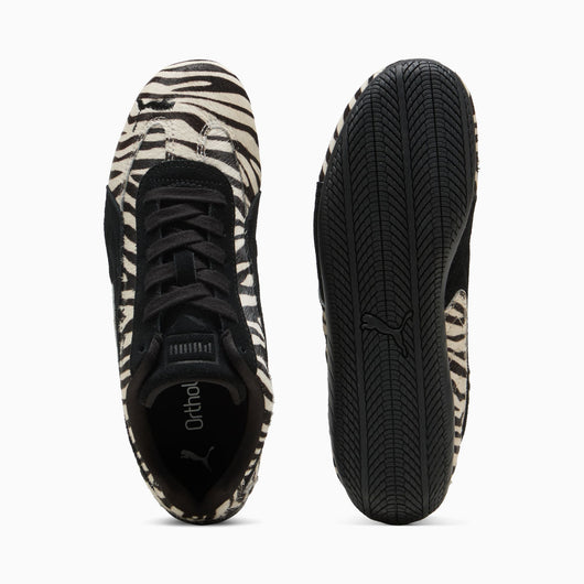 SpeedCat Zebras